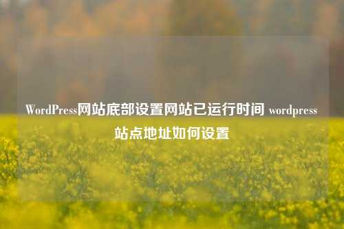 WordPress网站底部设置网站已运行时间 wordpress站点地址如何设置