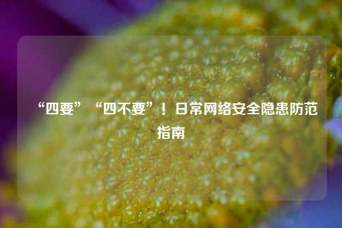 “四要”“四不要”！日常网络安全隐患防范指南