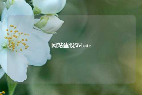 网站建设Website