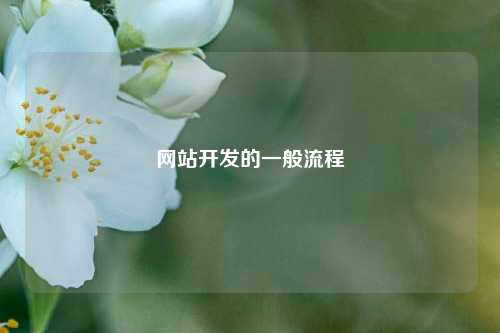 网站开发的一般流程