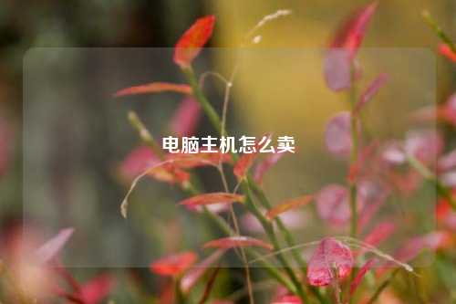 电脑主机怎么卖