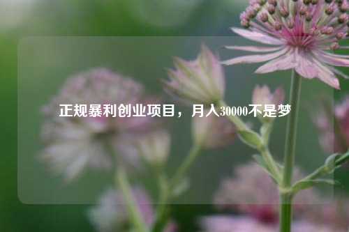 正规暴利创业项目，月入30000不是梦