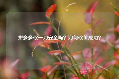 拼多多砍一刀安全吗？如何砍价成功？