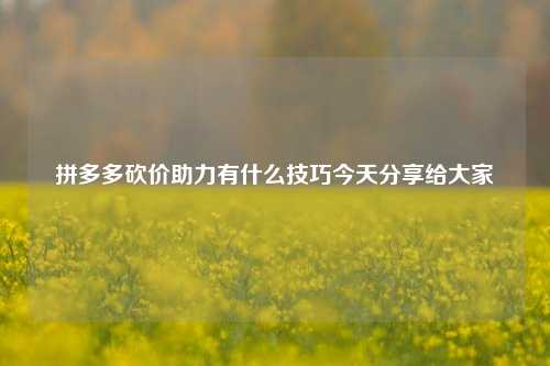 拼多多砍价助力有什么技巧今天分享给大家
