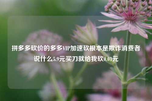 拼多多砍价的多多VIP加速砍根本是欺诈消费者说什么5.9元买刀就给我砍0.01元