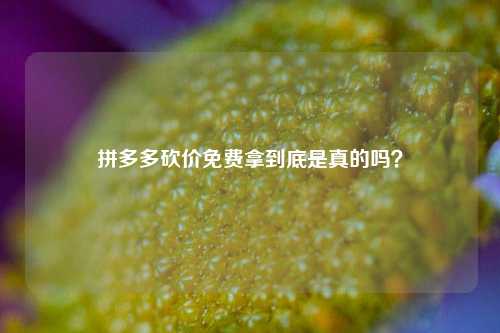 拼多多砍价免费拿到底是真的吗？