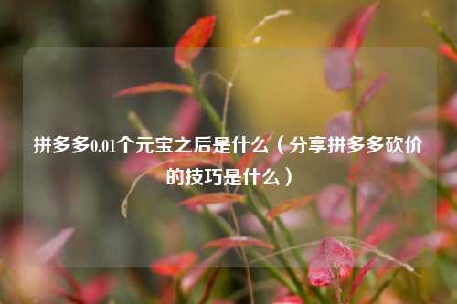 拼多多0.01个元宝之后是什么（分享拼多多砍价的技巧是什么）