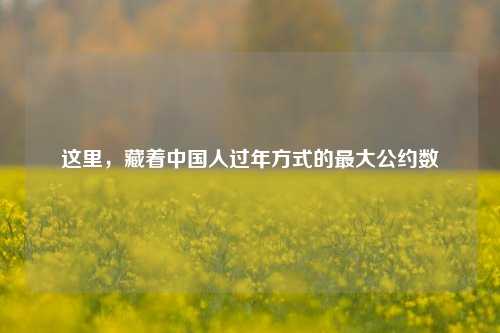 这里，藏着中国人过年方式的最大公约数