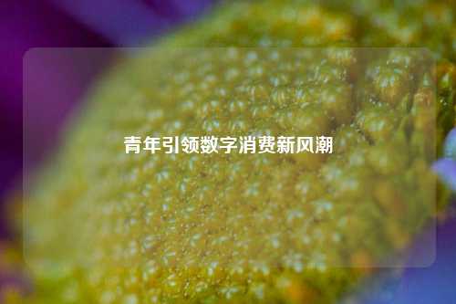 青年引领数字消费新风潮