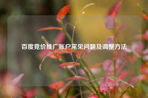 百度竞价推广账户常见问题及调整方法