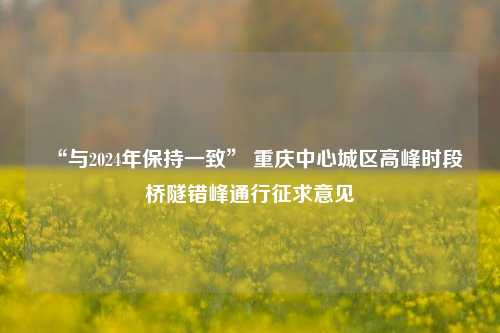 “与2024年保持一致” 重庆中心城区高峰时段桥隧错峰通行征求意见
