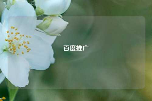百度推广