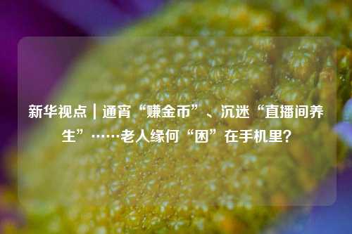 新华视点｜通宵“赚金币”、沉迷“直播间养生”……老人缘何“困”在手机里？