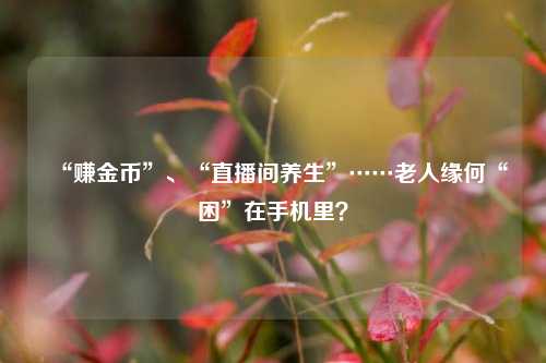 “赚金币”、“直播间养生”……老人缘何“困”在手机里？
