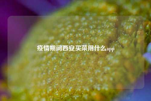 疫情期间西安买菜用什么app