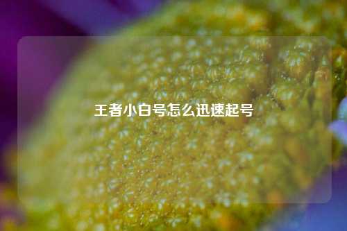 王者小白号怎么迅速起号