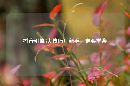 抖音引流5大技巧！新手一定要学会