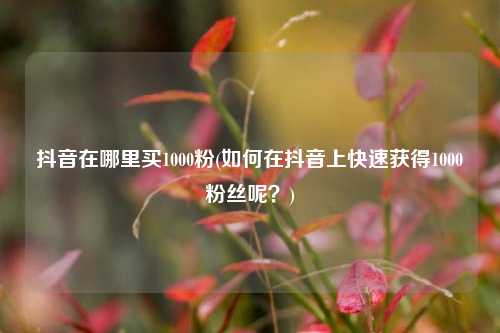 抖音在哪里买1000粉(如何在抖音上快速获得1000粉丝呢？)