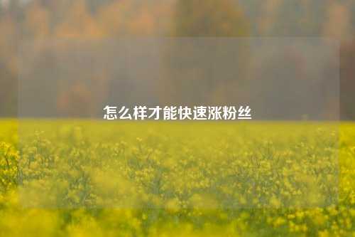 怎么样才能快速涨粉丝