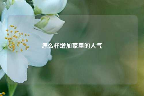 怎么样增加家里的人气