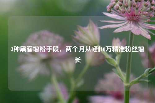 3种黑客增粉手段，两个月从0到10万精准粉丝增长